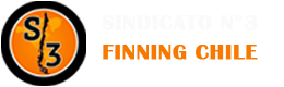 SINDICATO 3 FINNING