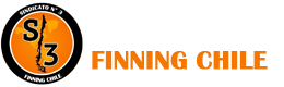 SINDICATO 3 FINNING